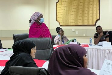 Feasibility, Acceptability, and Usability of Peer-To-Peer Motivational Interviewing tool to Improve Vaccine Conversations among Somali communities in Kenya (2022).
